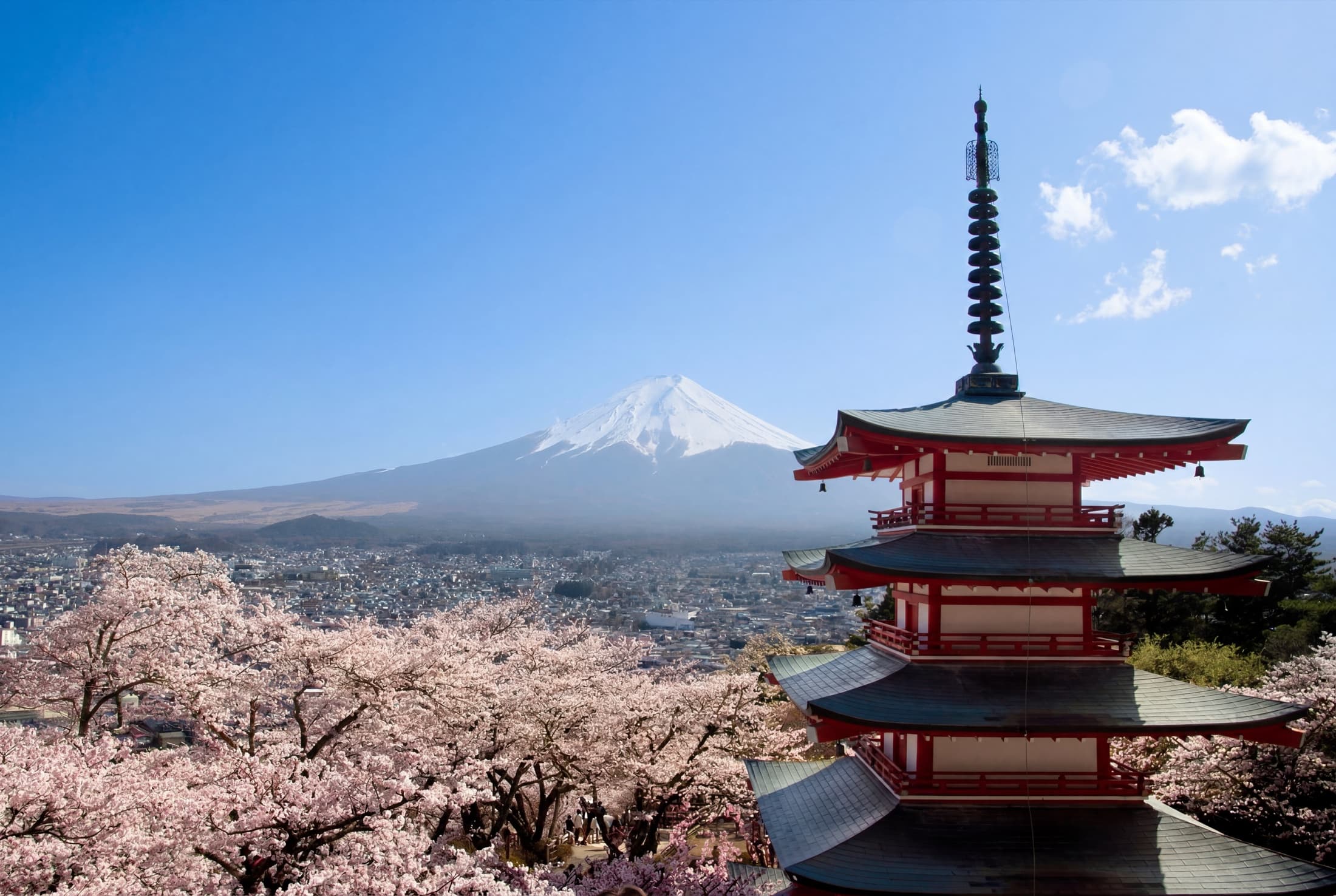Mount Fuji and a pagoda among cherry blossom, edited in Filmera