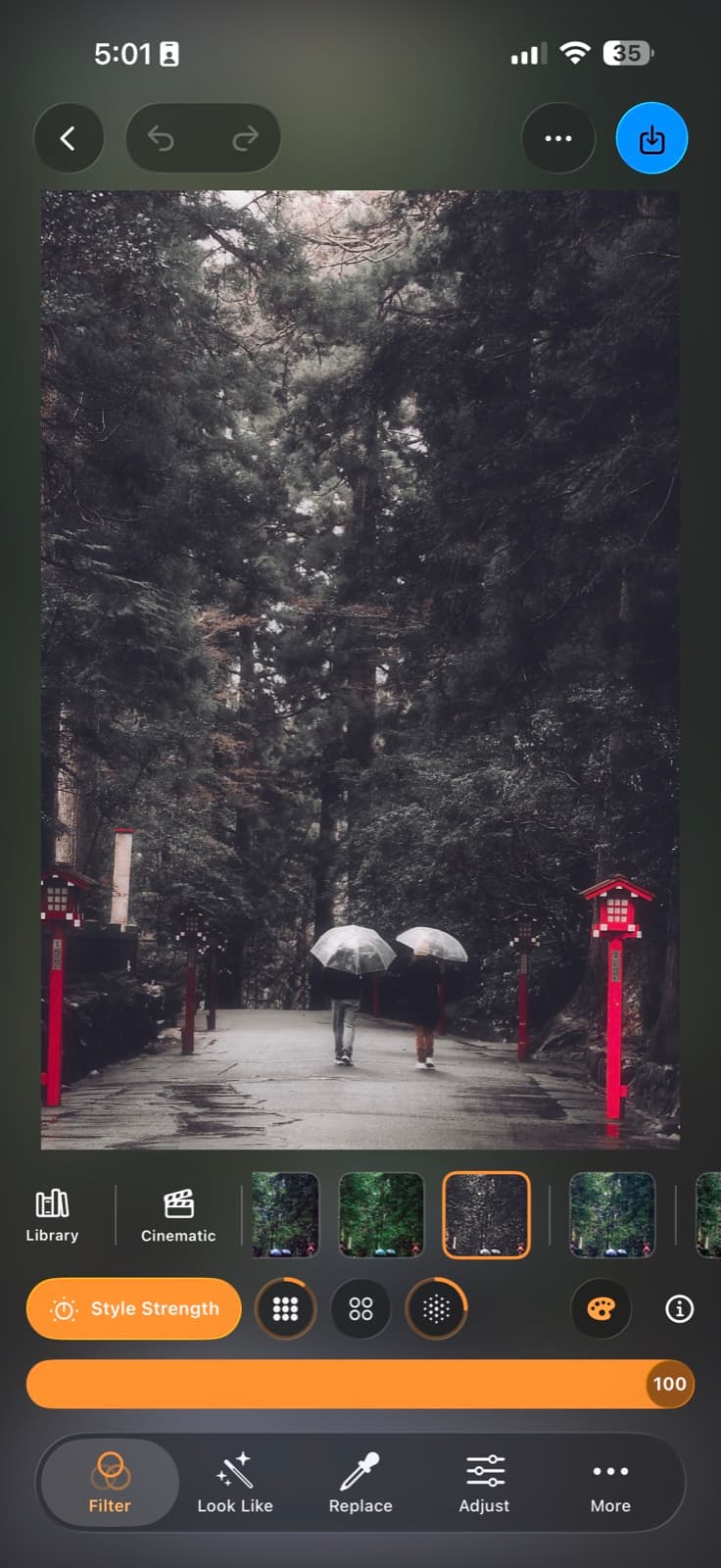 Filmera's filter screen with a cinematic look applied