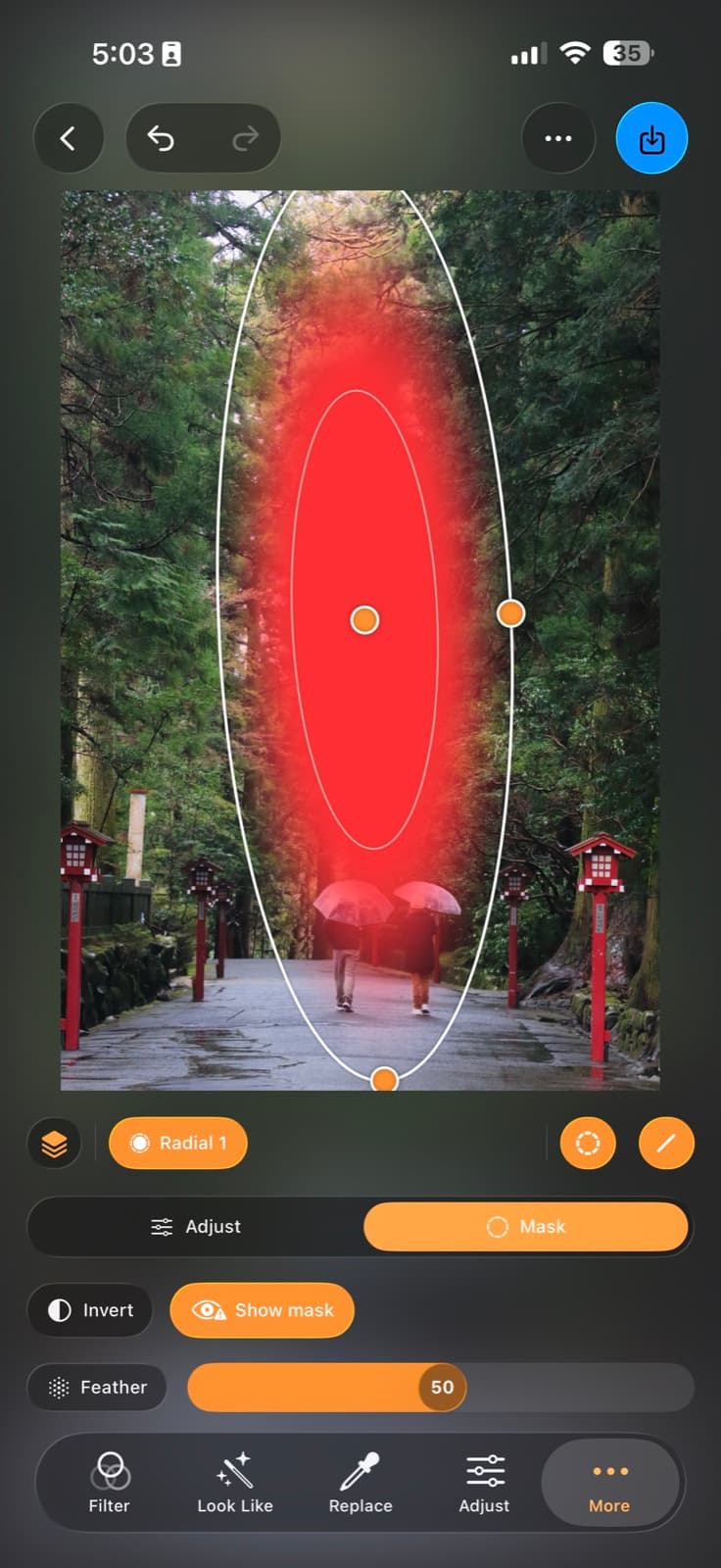 Filmera's local adjust screen showing a radial mask on a photo