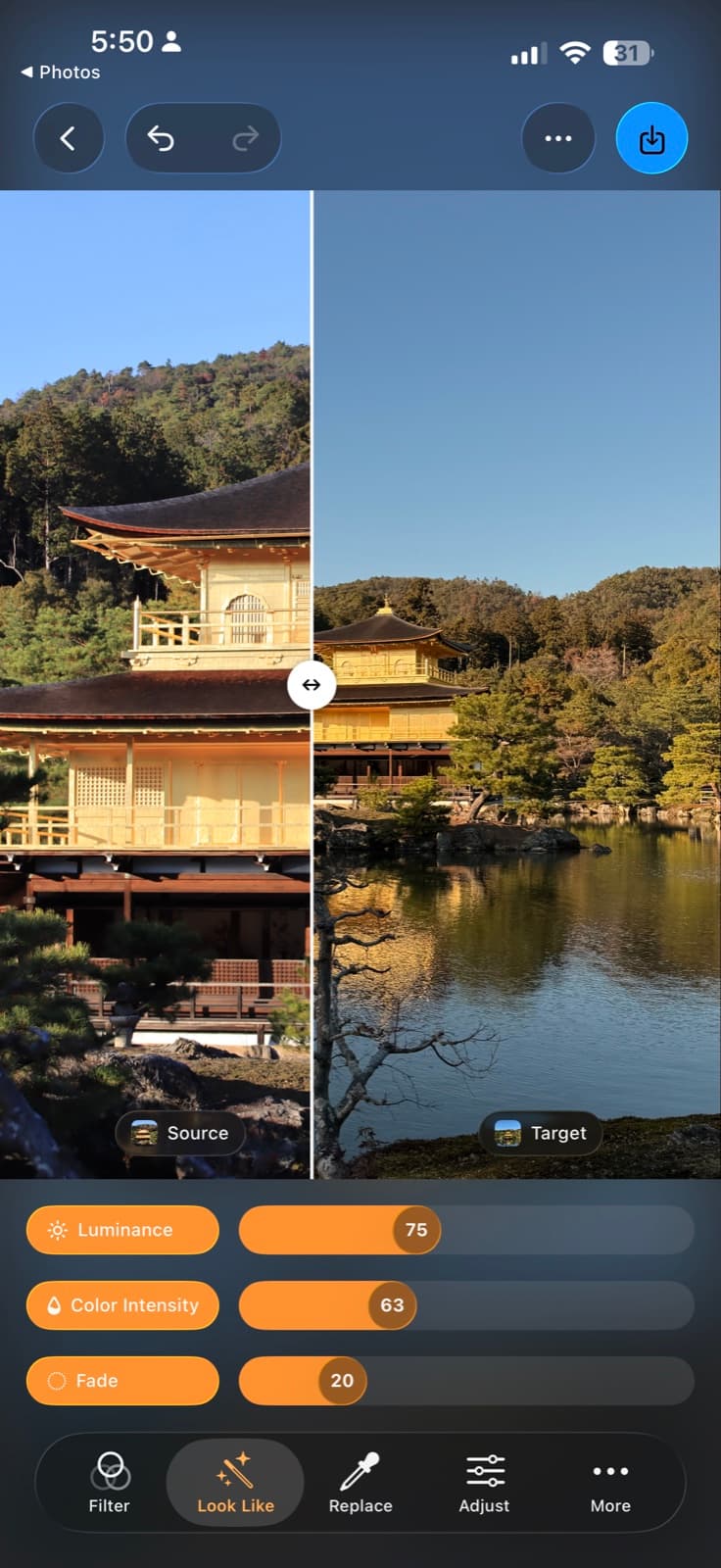 Filmera's Look Like screen matching the colour of a reference photo