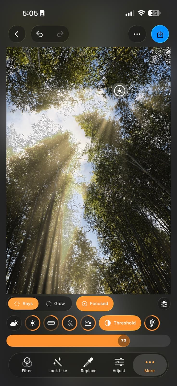 Filmera's light rays tool casting sunbeams through a forest canopy