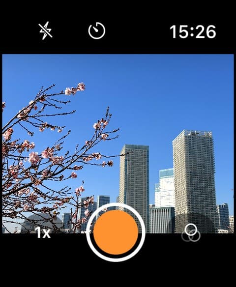 Filmera camera remote on an Apple Watch